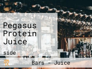 Pegasus Protein Juice