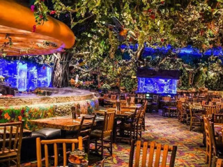 Rainforest Cafe Chicago Woodfield