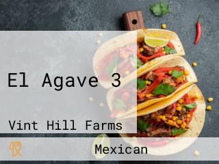 El Agave 3