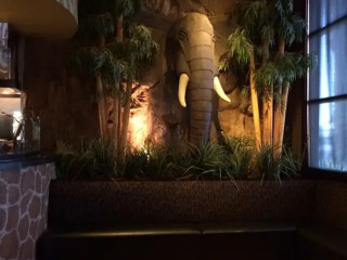 Elephant Bar Restaurant Greenwood Village