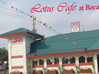 Lotus Cafe At Boca Chica