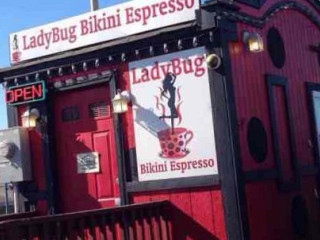 Ladybug Espresso