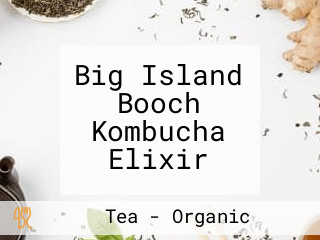 Big Island Booch Kombucha Elixir