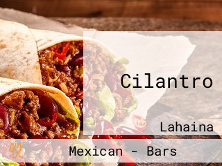 Cilantro