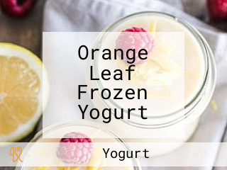 Orange Leaf Frozen Yogurt