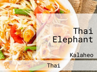 Thai Elephant