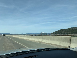 Long Bridge Swim