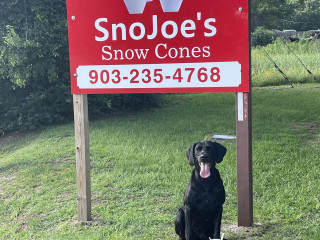 Snojoe's