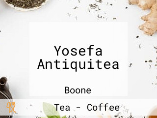 Yosefa Antiquitea