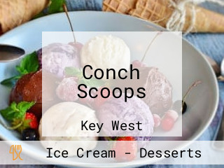 Conch Scoops