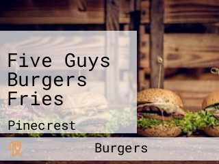 Five Guys Burgers Fries