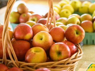 The Harvest Table