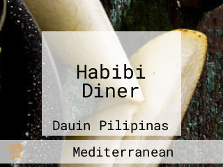 Habibi Diner