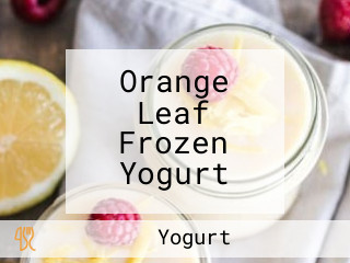 Orange Leaf Frozen Yogurt