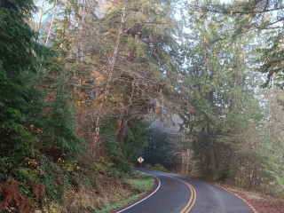 Quinault Lake Fisheries