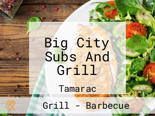 Big City Subs And Grill