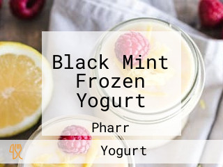 Black Mint Frozen Yogurt