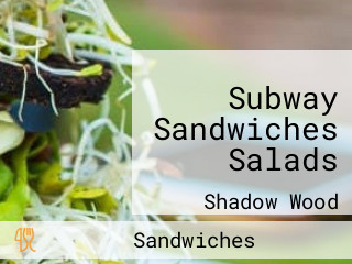 Subway Sandwiches Salads