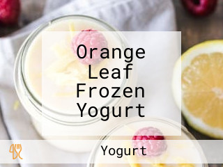 Orange Leaf Frozen Yogurt