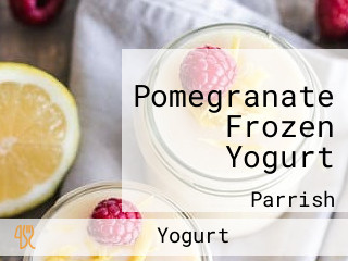 Pomegranate Frozen Yogurt