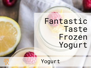 Fantastic Taste Frozen Yogurt