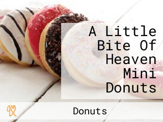 A Little Bite Of Heaven Mini Donuts