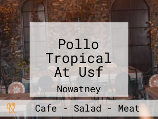 Pollo Tropical At Usf