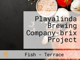 Playalinda Brewing Company-brix Project