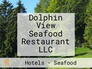 Dolphin View Seafood Restaurant LLC