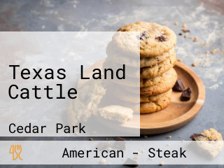 Texas Land Cattle