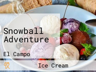 Snowball Adventure