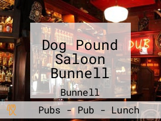 Dog Pound Saloon Bunnell