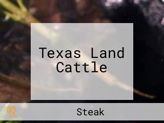 Texas Land Cattle