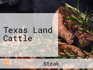 Texas Land Cattle