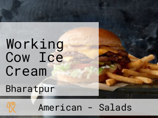 Working Cow Ice Cream