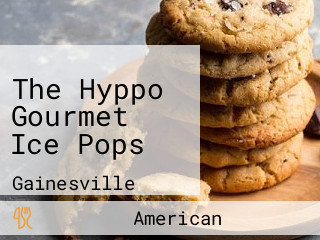 The Hyppo Gourmet Ice Pops