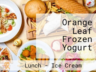 Orange Leaf Frozen Yogurt