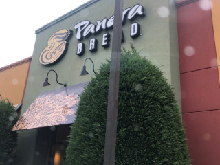 Panera Bread