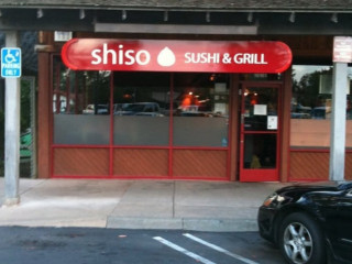 Shiso Sushi Grill