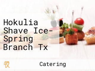 Hokulia Shave Ice- Spring Branch Tx