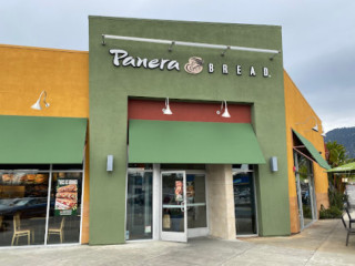 Panera Bread