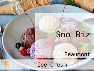 Sno Biz