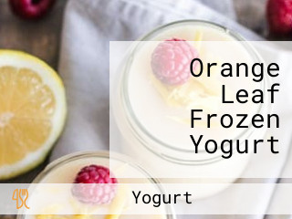 Orange Leaf Frozen Yogurt