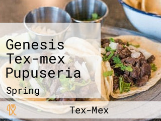 Genesis Tex-mex Pupuseria