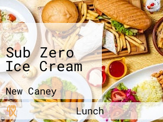 Sub Zero Ice Cream