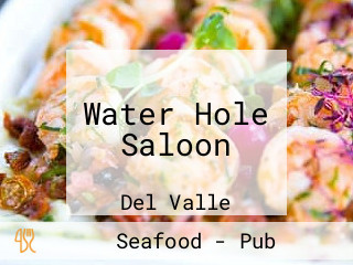 Water Hole Saloon