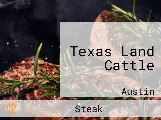 Texas Land Cattle