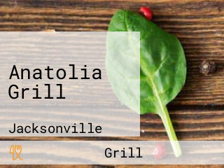 Anatolia Grill