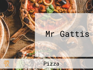 Mr Gattis