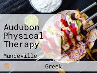 Audubon Physical Therapy